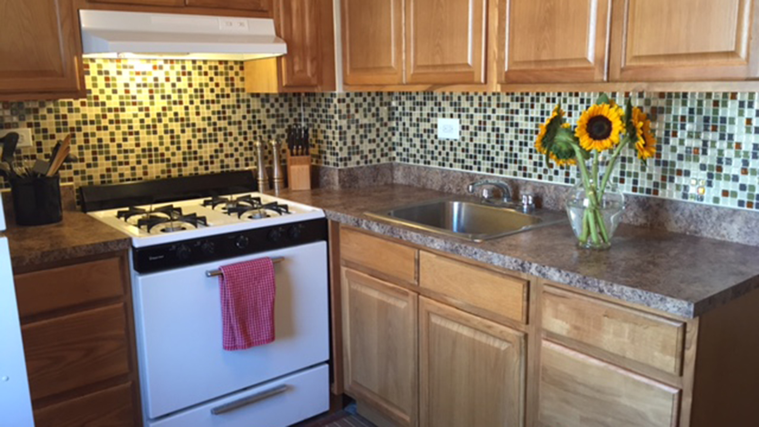 Peel And Stick Kitchen Backsplash
 Kitchen How To Install Exciting Groutless Backsplash For