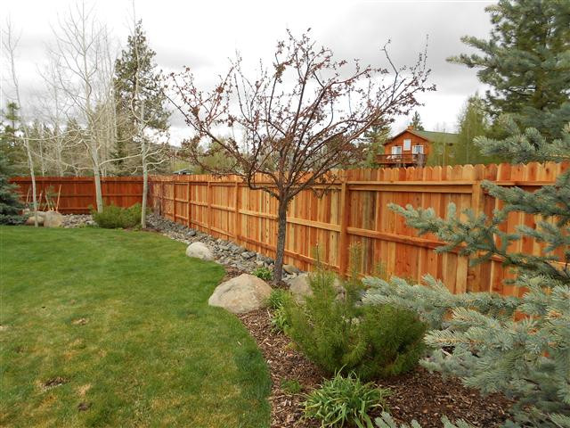 Privacy Fence Landscape
 Privacy Fence Landscaping Project PDF Download