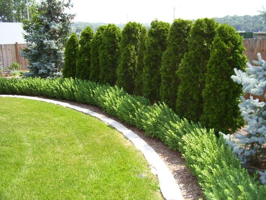 Privacy Fence Landscape
 Stunning Privacy Fence Line Landscaping Ideas 53