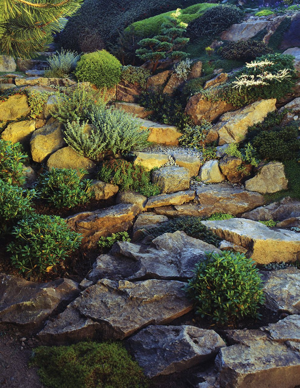 Rock Terrace Landscape
 Rock Gardens select plants that grow well in your