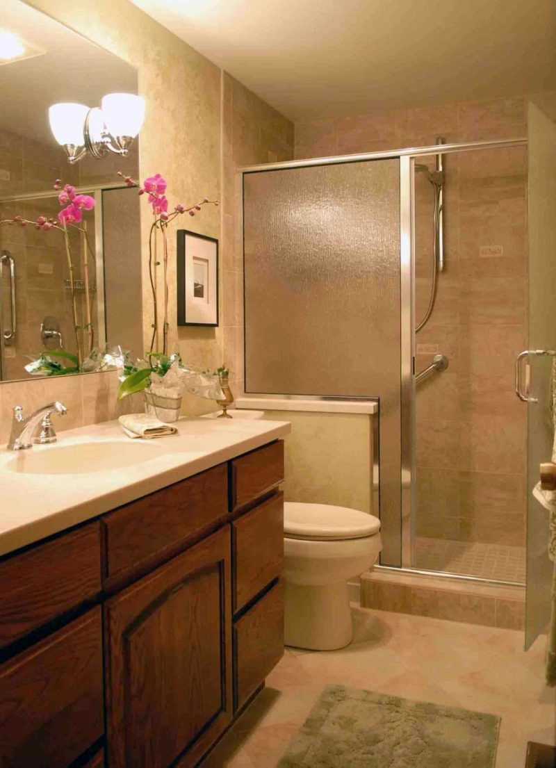 Small Bathroom With Shower Ideas
 Doorless Shower In Small Bathroom Designs For Bathrooms