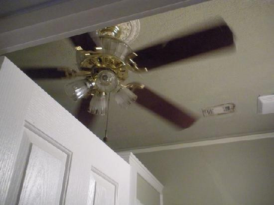 Small Ceiling Fan For Bathroom
 graindesigners Best Home Inspiration Gallery