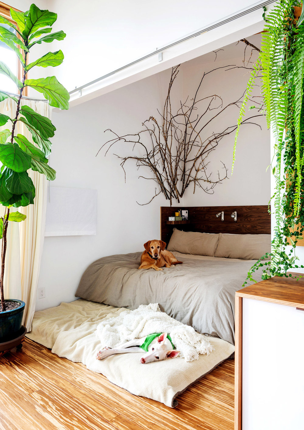 Small Plants for Bedroom Fresh Design Highlight Bedrooms Using Live Plants as Decor