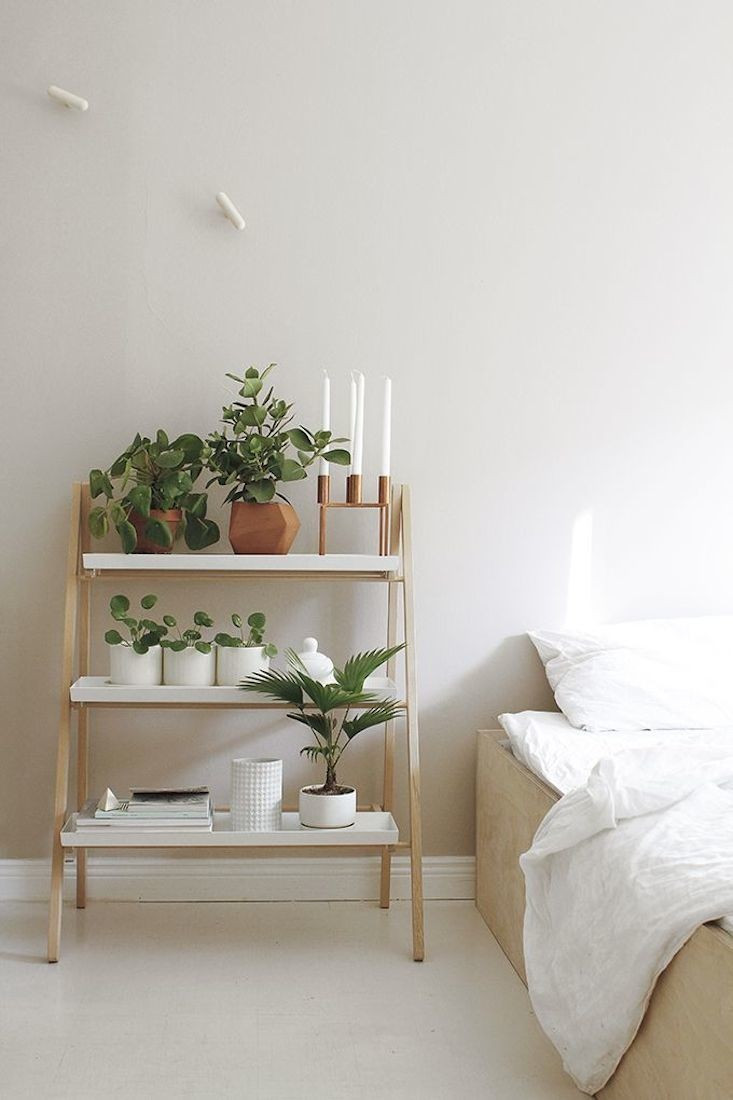 Small Plants For Bedroom
 Ideas of Including Indoor Plant Shelves in Your Home’s