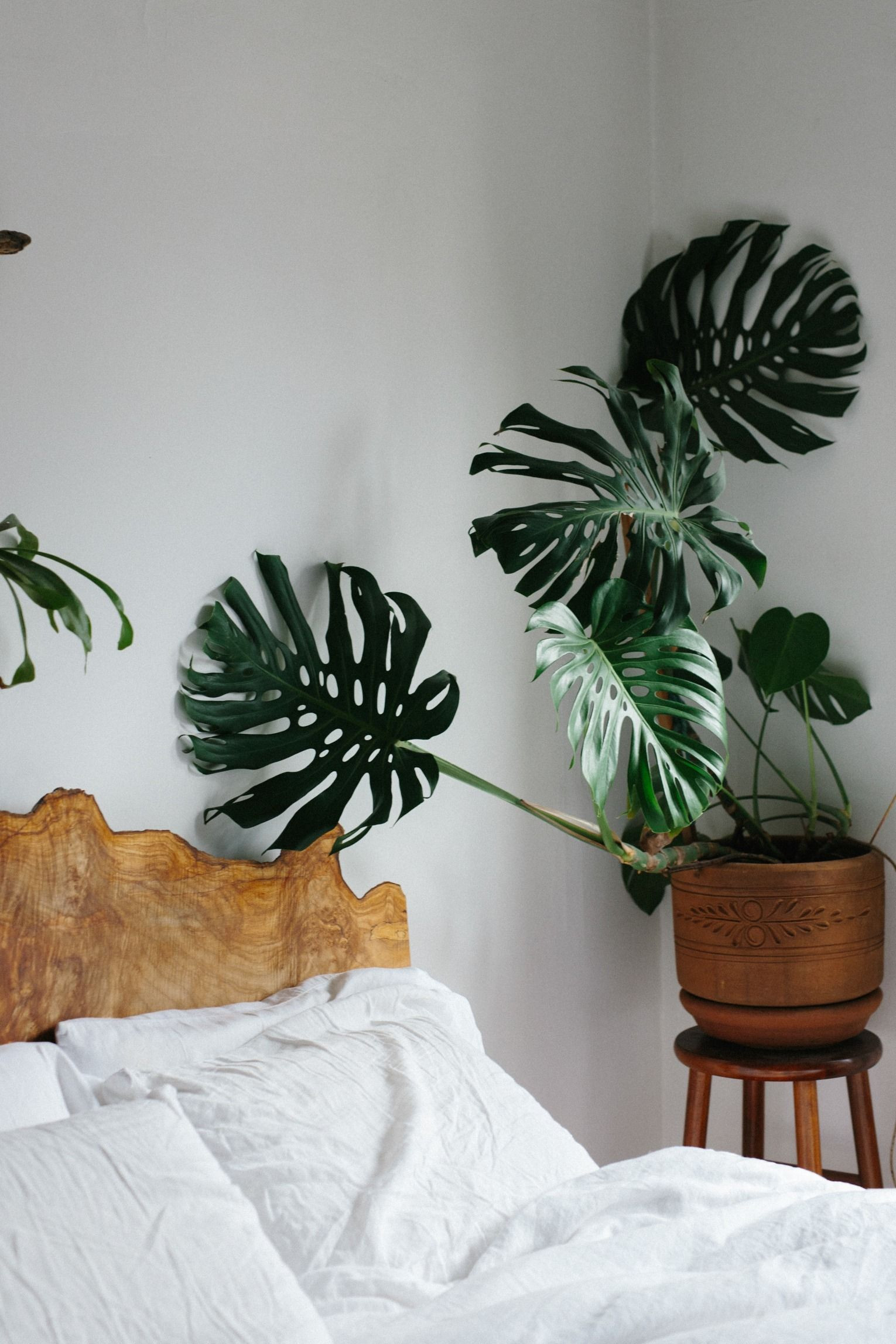 Small Plants For Bedroom
 UO Guide Small Spaces Gardening