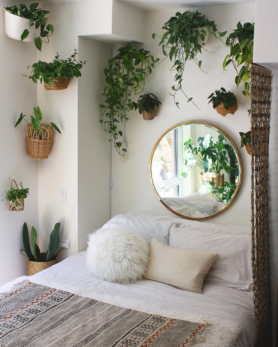 Small Plants For Bedroom
 13 smart and savvy small bedroom decorating ideas