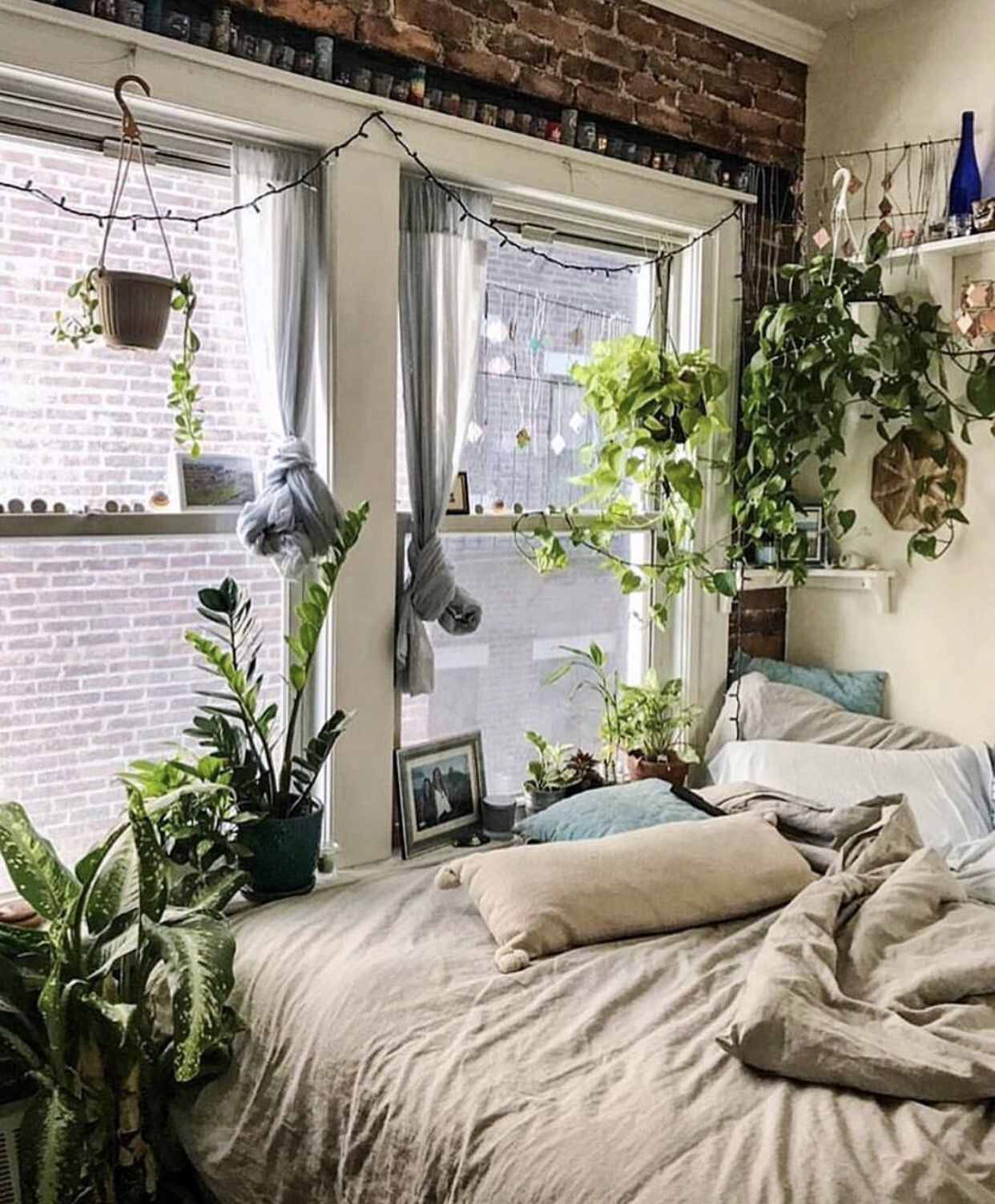 Small Plants For Bedroom
 This small light filled bedroom is perfect for plants