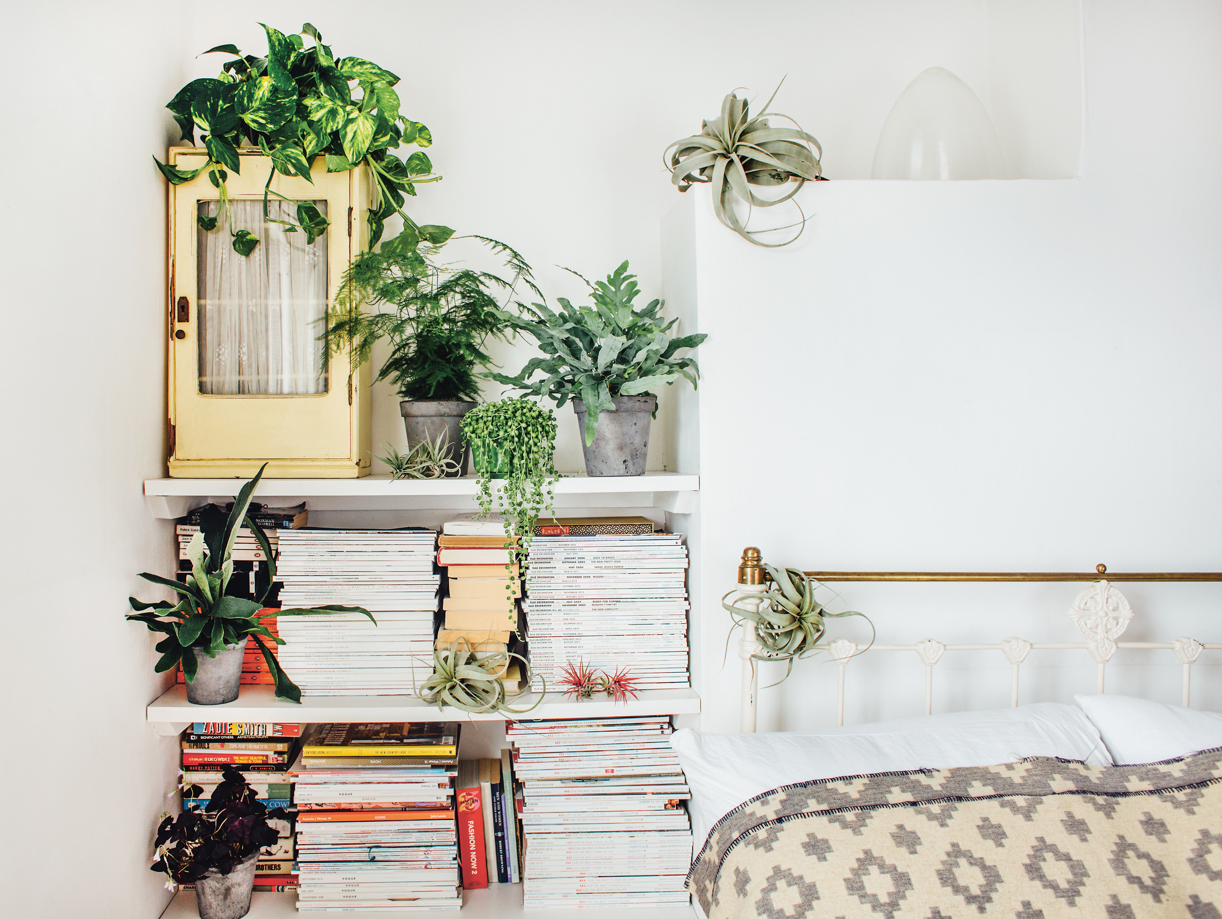 Small Plants For Bedroom
 Why Indoor Plants Make You Feel Better
