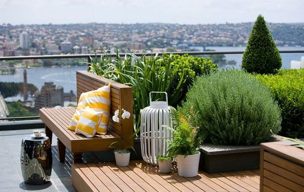 Small Terrace Landscape
 11 Most Essential Rooftop Garden Design Ideas and Tips