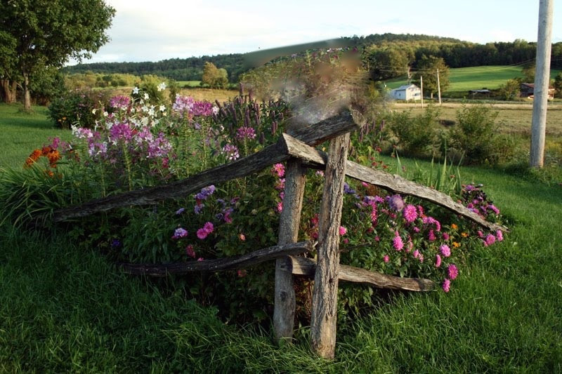 Split Rail Fence Landscape Ideas
 Two Men and a Little Farm SPLIT RAIL FENCE FLOWERBED
