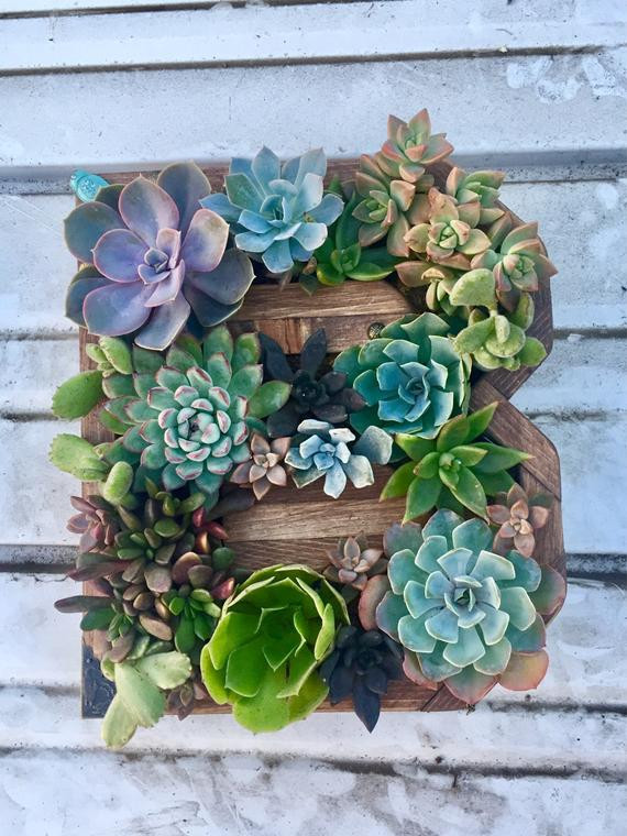Succulent Living Wall Planter
 Hanging succulent planter living wall letter shaped