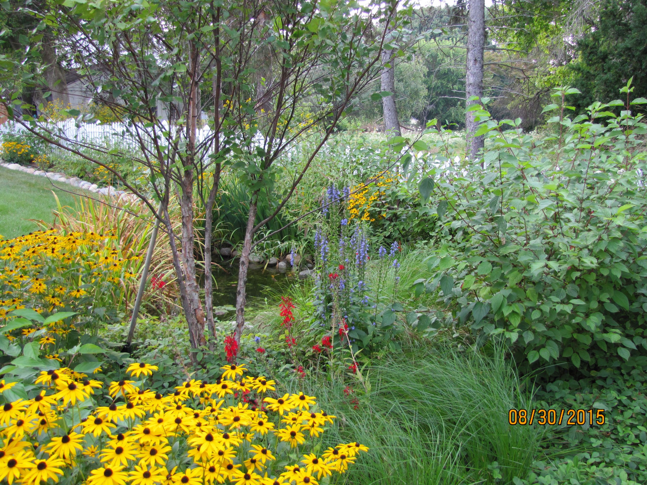 Sustainable Landscape Designs
 Sustainable Landscaping Architects in Oakland County MI