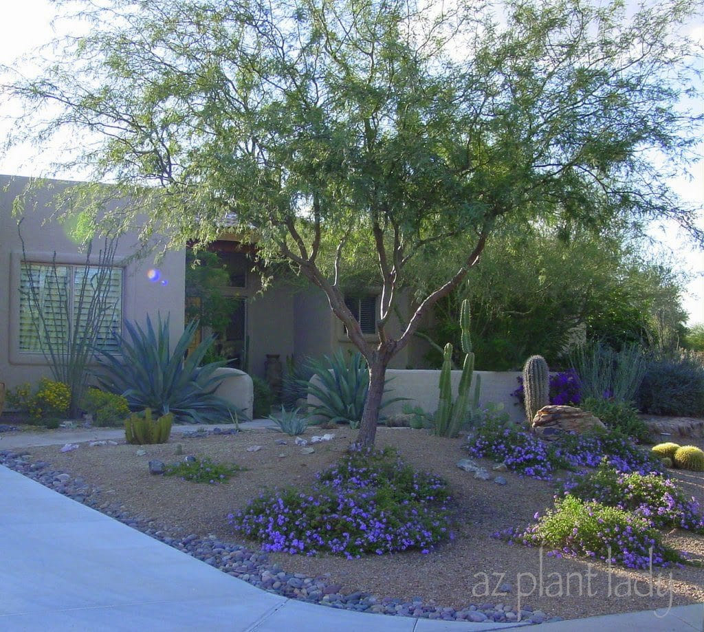 Sustainable Landscape Designs
 What Is a Sustainable Landscape Ramblings from a Desert