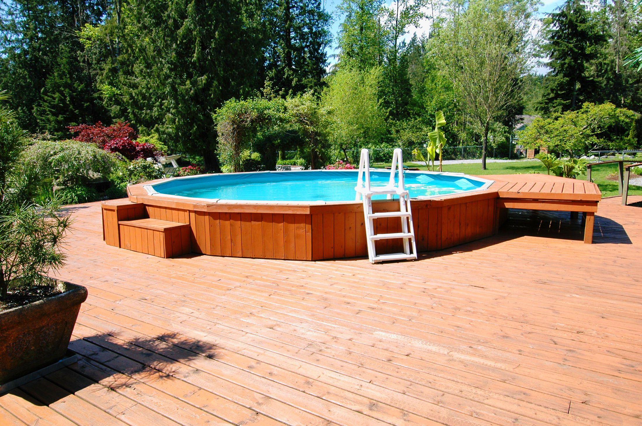 Swimming Pool Above Ground
 Ground Swimming Pools Designs Shapes and Sizes