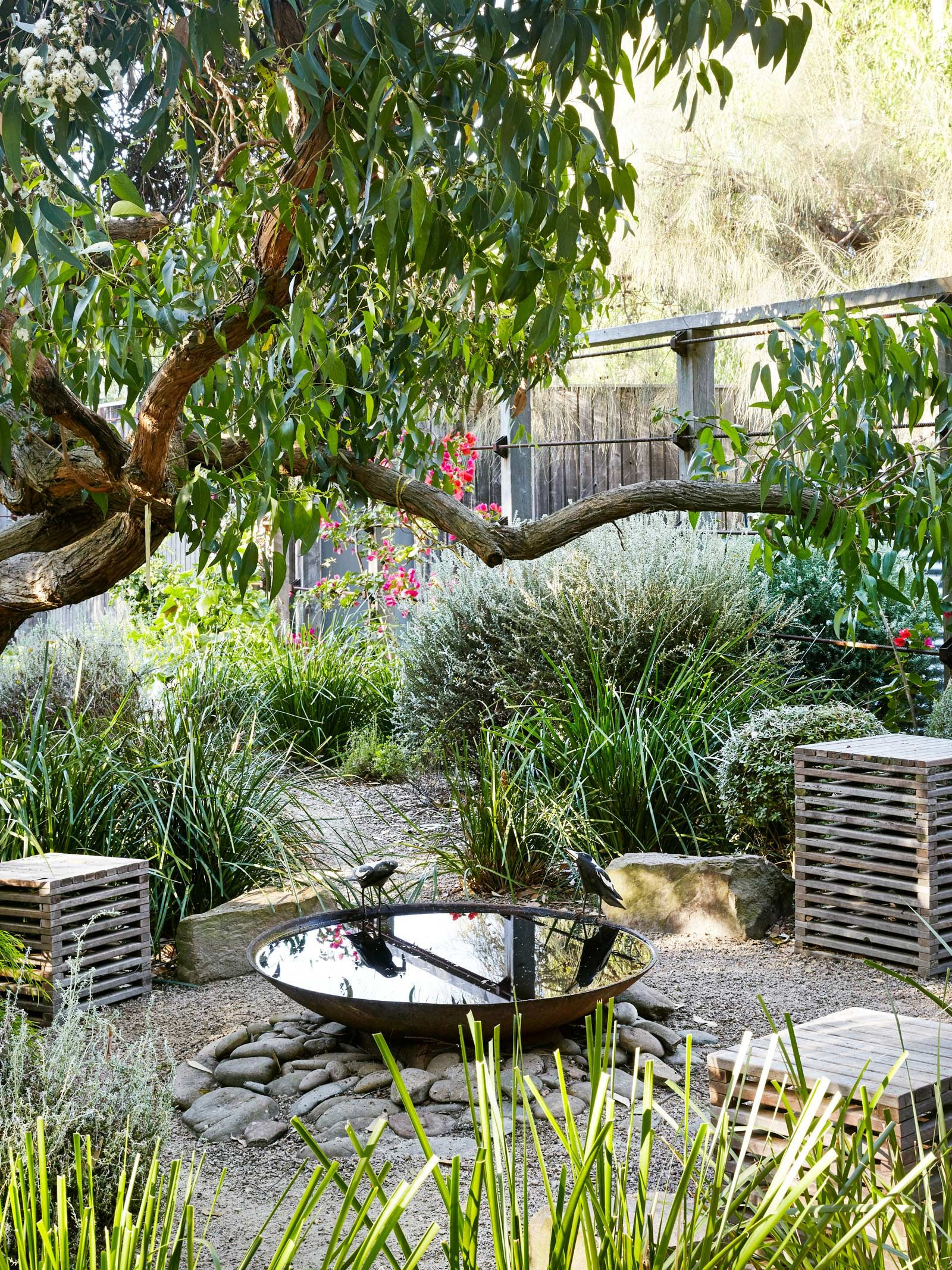 Terrace Landscape Australia
 Plant Life Peter Shaw