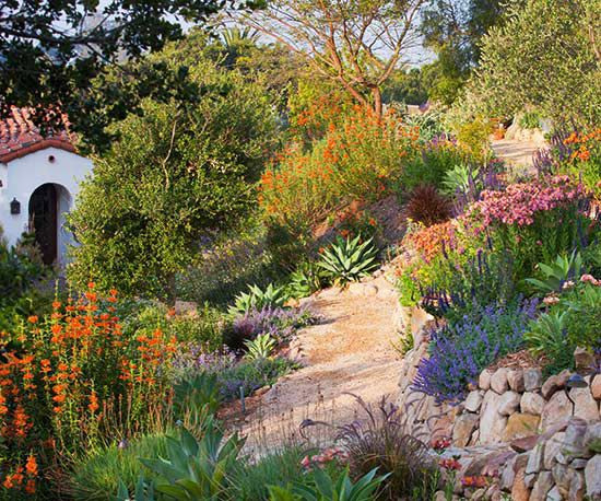 Terrace Landscape California
 This Planting Guide Solves All of Your Sloped Garden