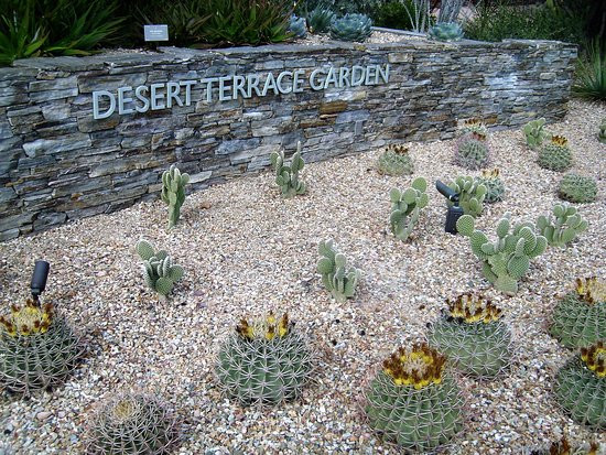 Terrace Landscape Desert
 Desert Terrace Garden Picture of Desert Botanical Garden