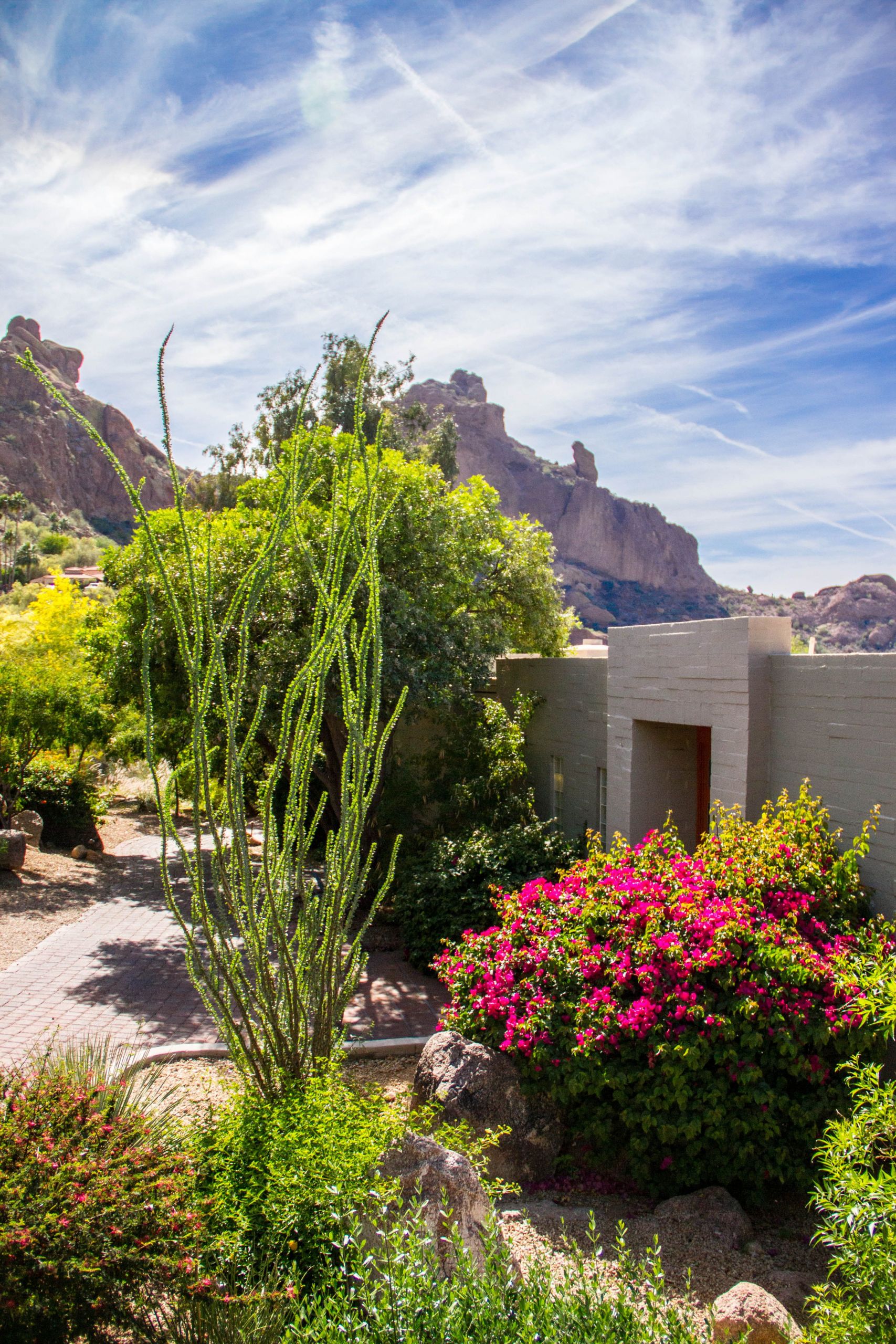 Terrace Landscape Desert
 Our Mountain Casitas & Suites are terraced on the north