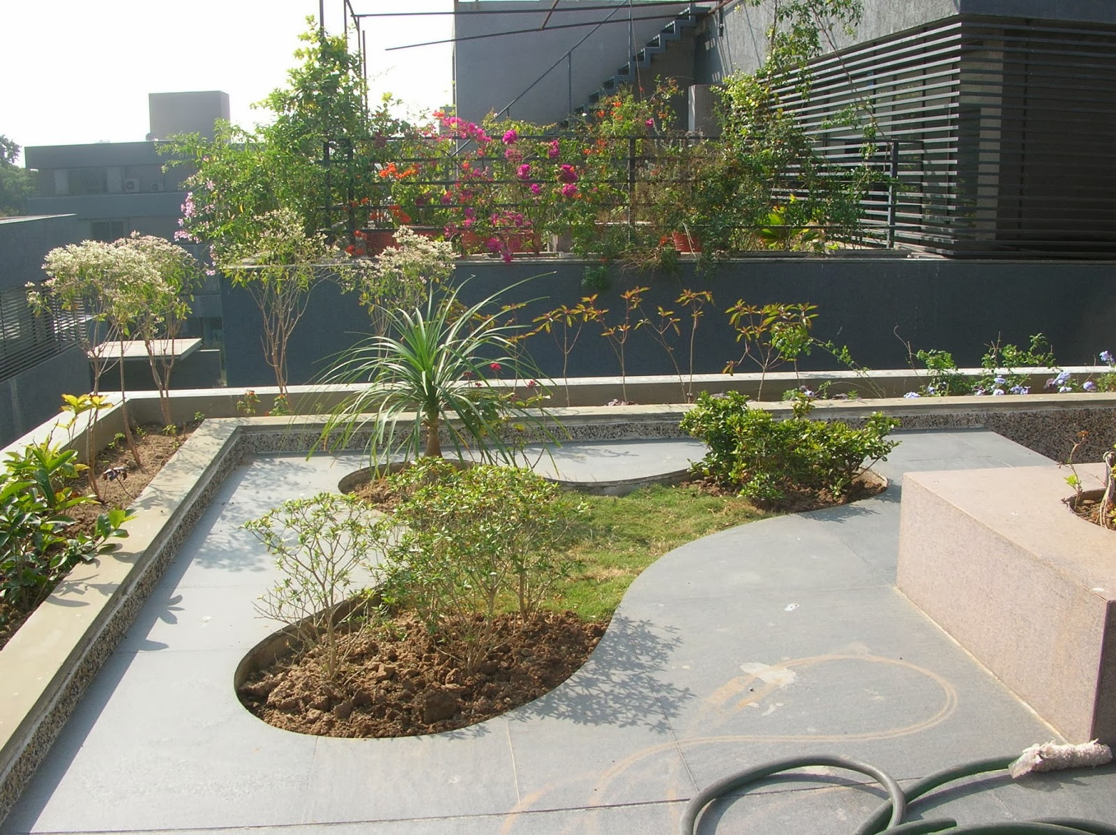 Terrace Landscape Design
 Bonsai Trees and Plants in Ahmedabad for Sale garden