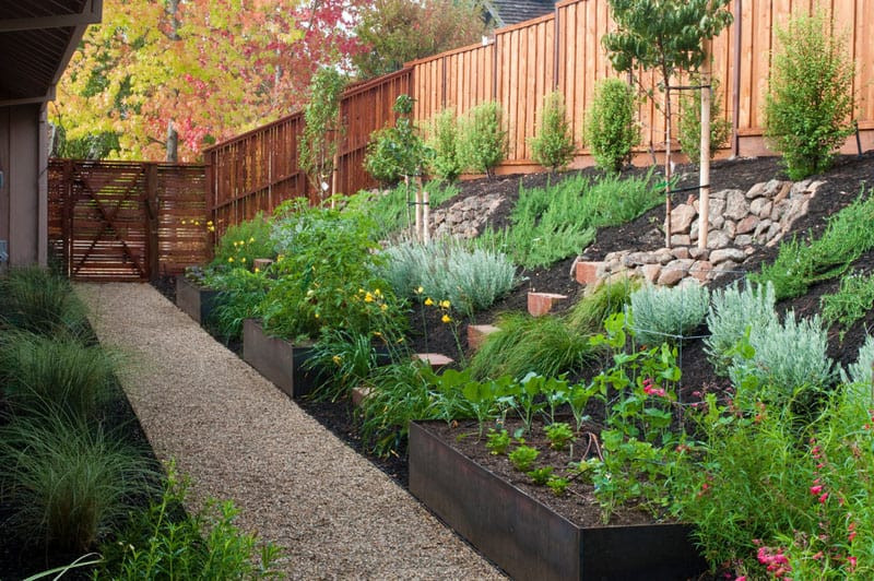 Terrace Landscape How To
 How To Turn A Steep Backyard Into A Terraced Garden
