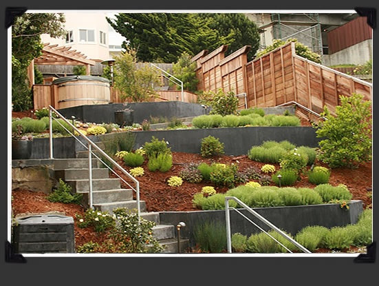 Terrace Landscape Ideas
 11 best images about Terraced front yard on Pinterest