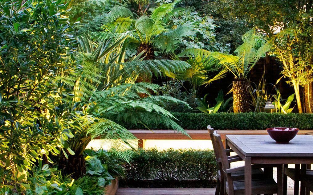 Terrace Landscape Tropical
 Tropical garden designs