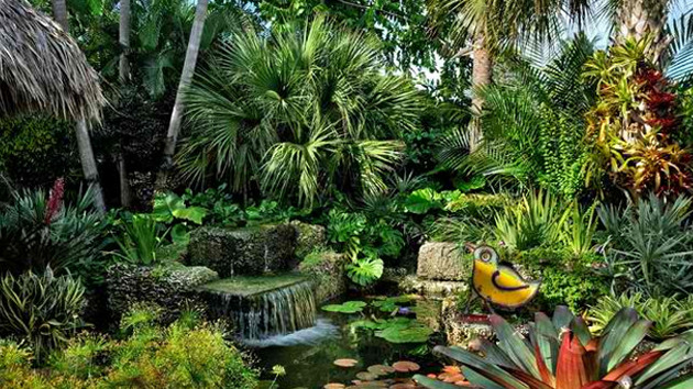 Terrace Landscape Tropical
 10 Easy Steps to Make Your Dream Tropical Garden a Reality