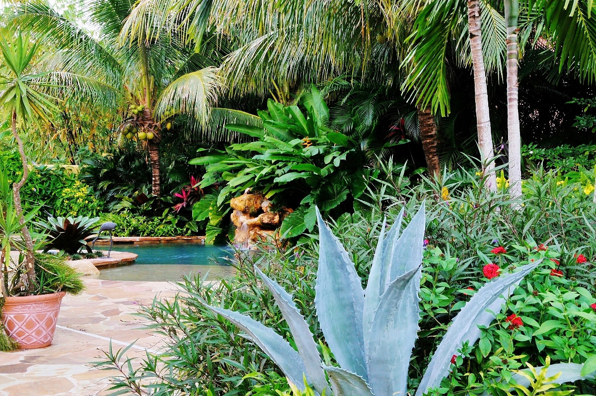 Terrace Landscape Tropical
 Tropical Landscape Garden Design Miami Knoll Landscape