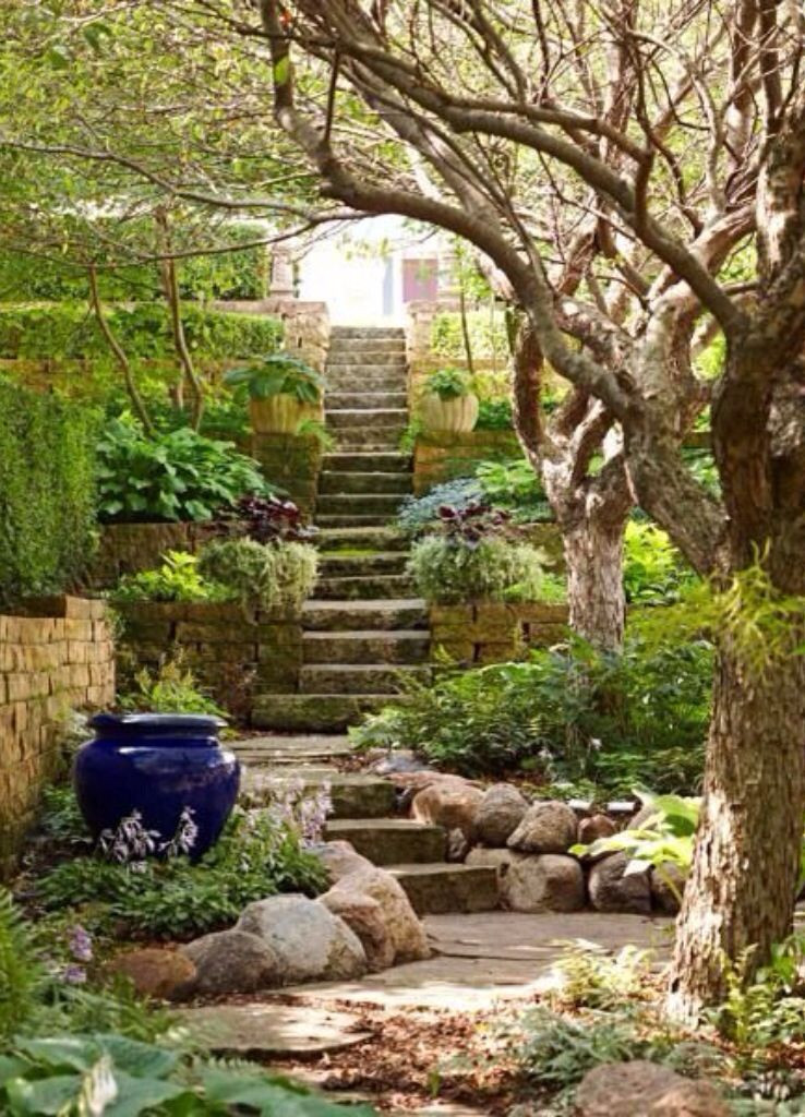 Terrace Landscape With Stairs
 Terraced Mediterranean Style Garden