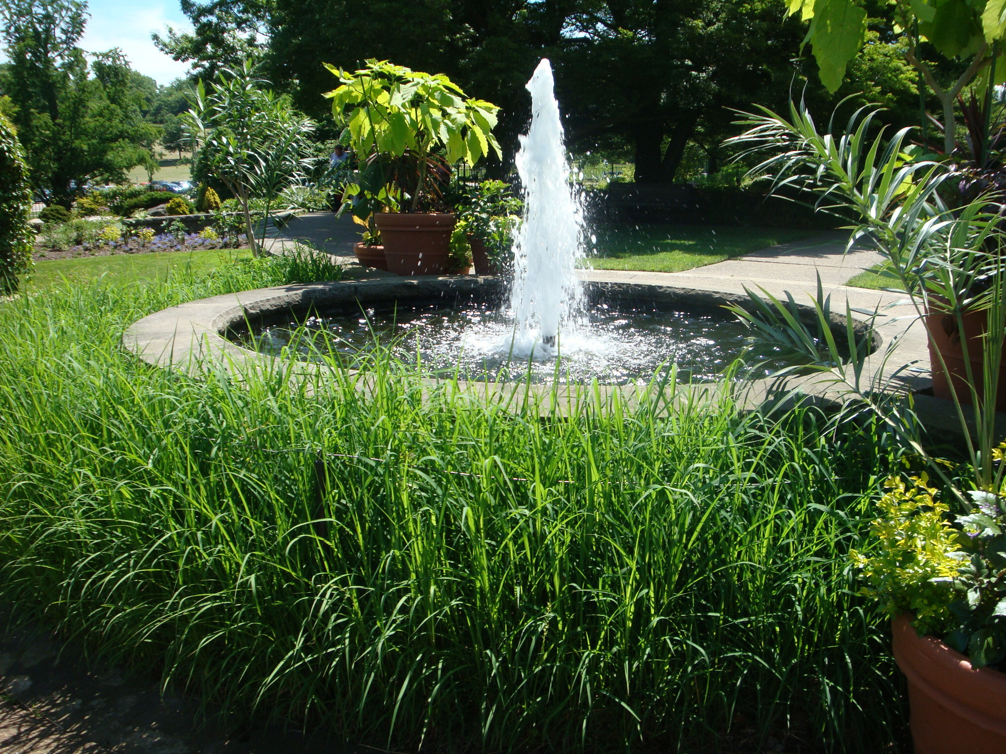 Water Fountain Landscape
 Formal Water Features in Landscape Design Revolutionary