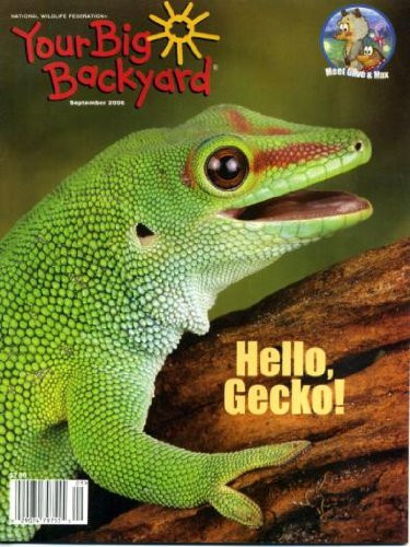 You Big Backyard
 BizX Your Big Backyard Magazine 40 Issues