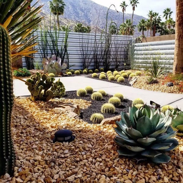 Desert Landscape Design
 Top 70 Best Desert Landscaping Ideas Drought Tolerant Plants