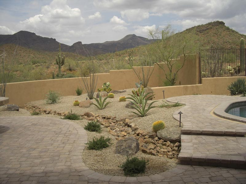 Desert Landscape Design
 Desert Landscaping How To Create Fantastic Desert Garden