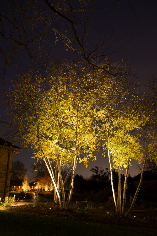 Fx Landscape Lighting
 FX Luminaire